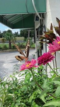 Others 5, Jasmine Garden Inn, Columbia