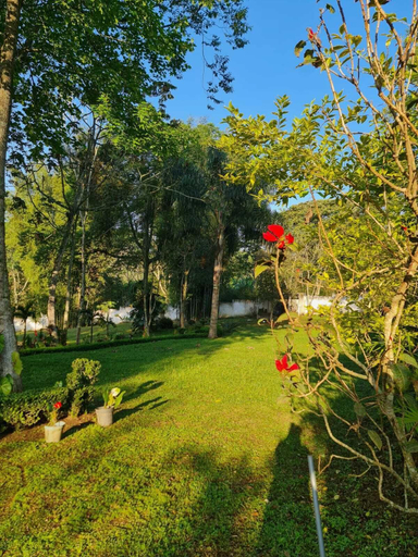Others 5, Jardin de los Anturios, Xico, Ixhuacán de los Reyes