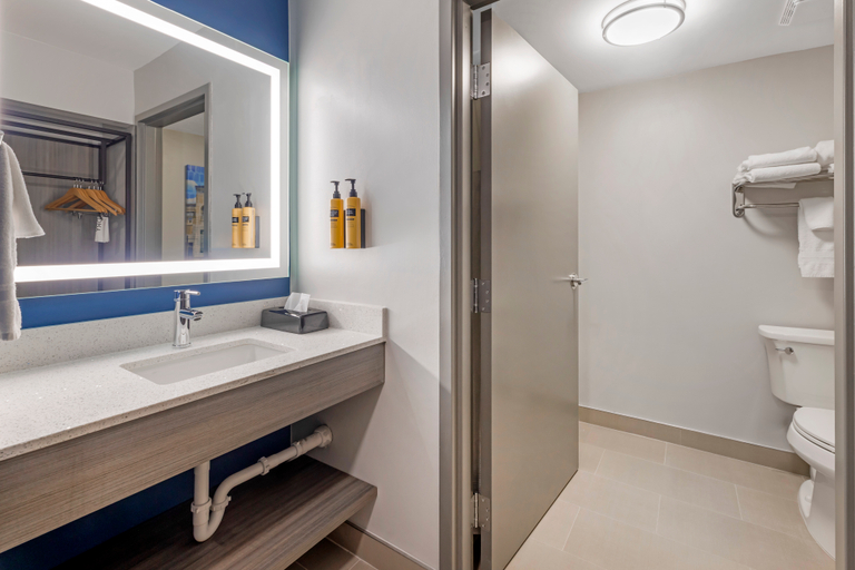 Bathroom 4, Best Western Plus Elgin - Chicago, Kane