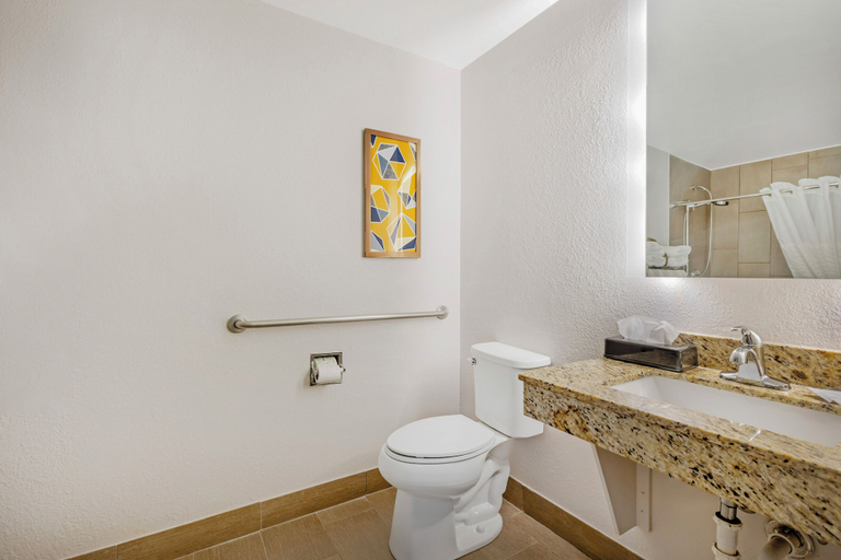 Bathroom 5, Comfort Suites Sumter, Sumter