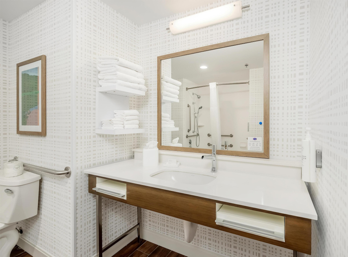 Bathroom 4, Hampton Inn &  Suites Grants Pass, Josephine