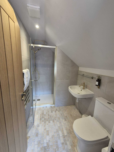 Bathroom 3, The Curious Pig in the Parlour, Surrey