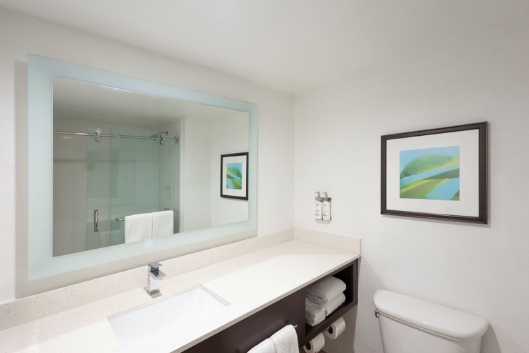 Bathroom, All Inclusive Holiday Inn Resort Aruba