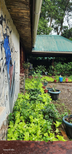 Others 5, Kizumba House, Arusha Urban
