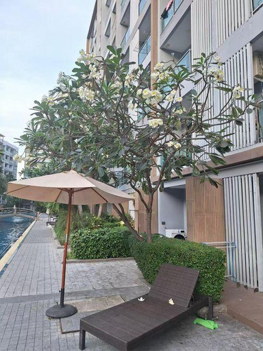 Others 5, Dusit Grand Park Resort Apartment Pattaya, Pattaya