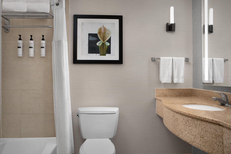 Bathroom 5, Hilton Garden Inn Tallahassee Central, Leon