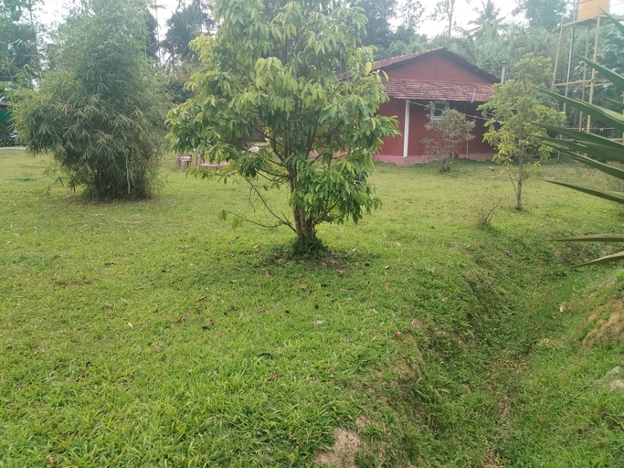 Property grounds 3, Wetland Homestay & Camping, Kodagu