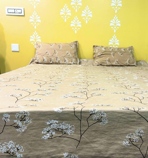 Room 3, Hotel swagat inn OD, Kendrapara