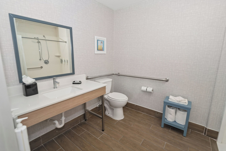 Bathroom 4, Hampton Inn & Suites Pharr, Hidalgo