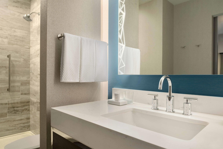 Bathroom 4, Embassy Suites by Hilton Minneapolis Downtown, Hennepin