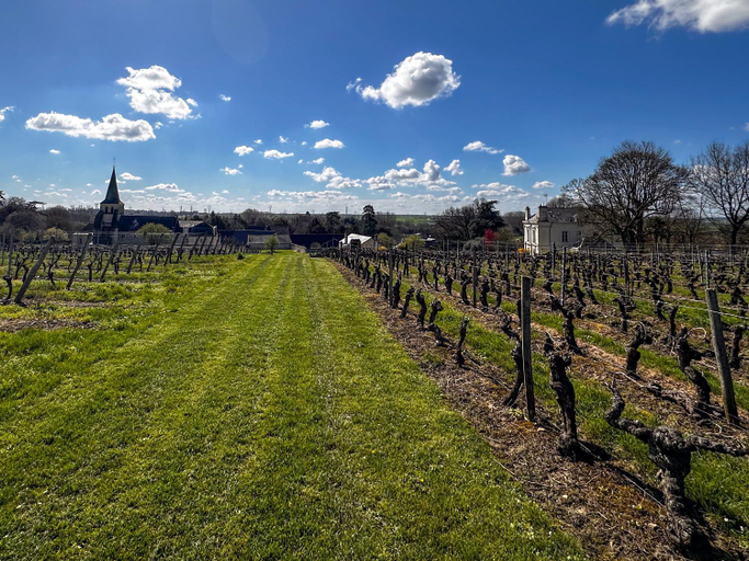 Others 3, Domaine Beaumont - Vignoble & Maison d'Hotes Vigneronne, Maine-et-Loire