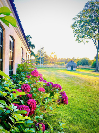 Property grounds 3, Nygaard Livsnyderi, Læsø