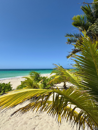 Beach 2, Infinity Pool & Ocean View - Sunrise, Roatán