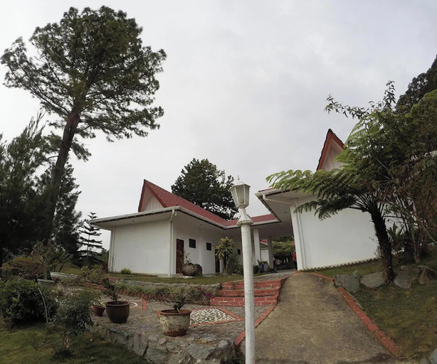 Primary image