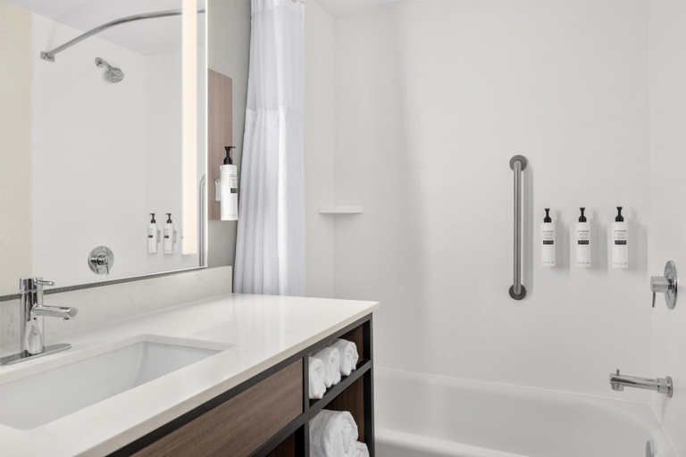 Bathroom 4, Hilton Garden Inn Perry, Houston
