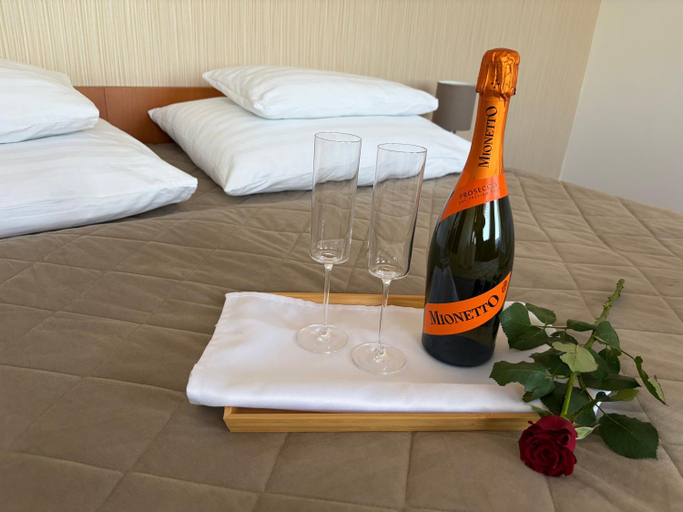 Others 4, Hotel Evan u Hoffera with free parking, Topolcany