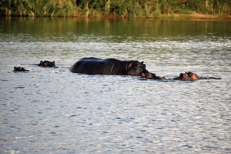 Miscellaneous 3, Muchenje river lodge, Katima Muliro Urban