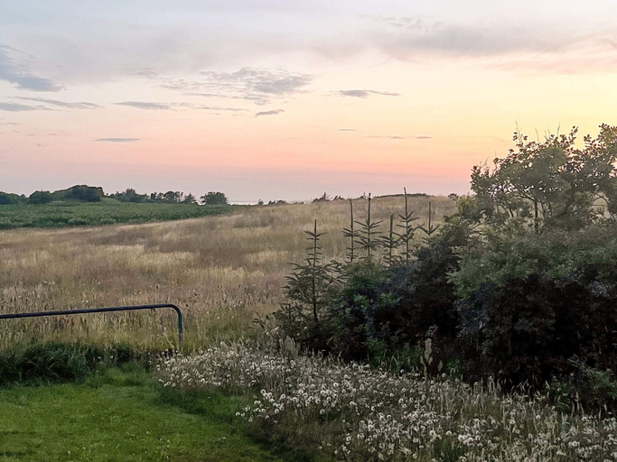 View from property 4, 4 Star Holiday Home in Logstor, Vesthimmerland