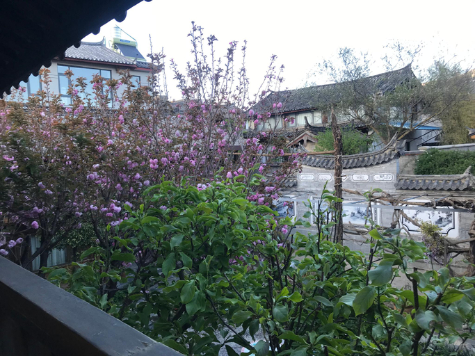 Others 5, Baisha Holiday Resort Lijiang, Lijiang