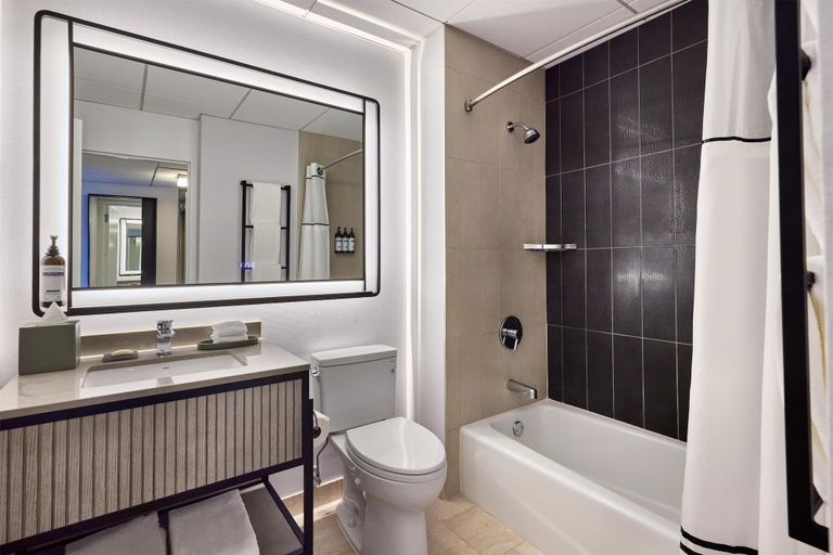 Bathroom 3, Hyatt Regency Chicago, Cook