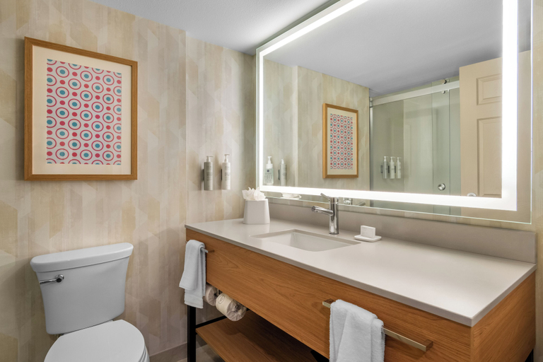 Bathroom 3, Hampton Inn by Hilton Addison Dallas, Dallas