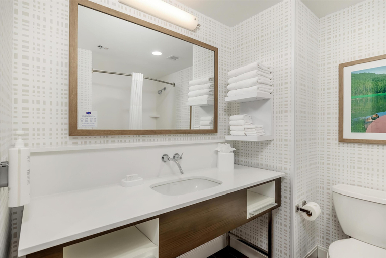 Bathroom 4, Hampton Inn & Suites Grants Pass, Josephine