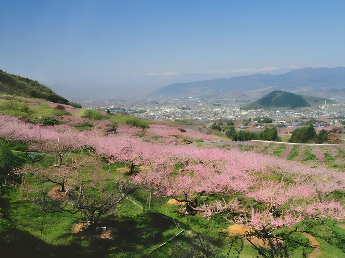 Others 3, Isawa Central Isawa Hot Spring Vacation Rental Condominium, Fuefuki