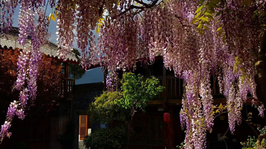 Others 4, Baisha Holiday Resort Lijiang, Lijiang