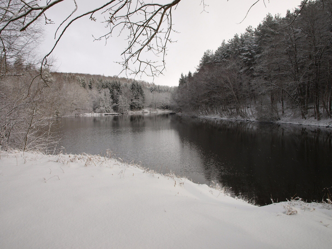 Garden 4, Forest Retreat in Vosges, Moselle