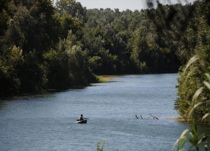 View from property 4, Vineyard Villa in Montfrin, Gard