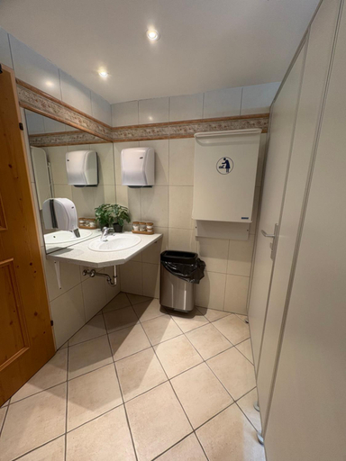Bathroom 3, Ferienhotel Alpenhof, Kitzbühel