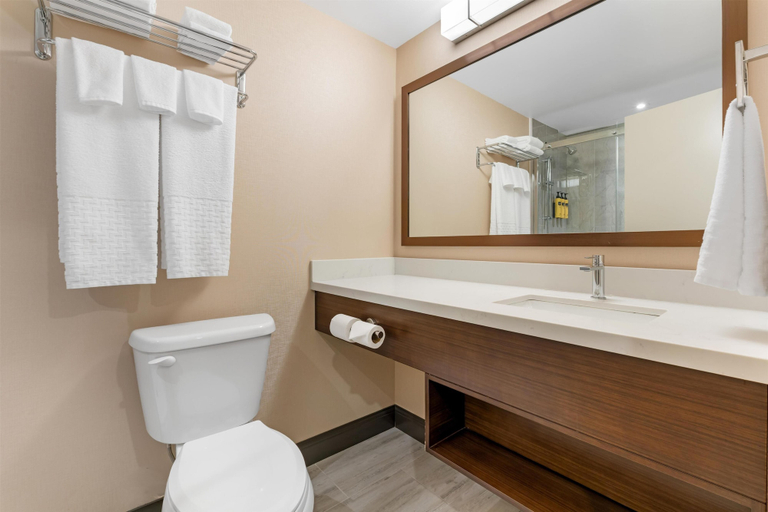 Bathroom 4, Best Western Plus Mission City Lodge, Fraser Valley