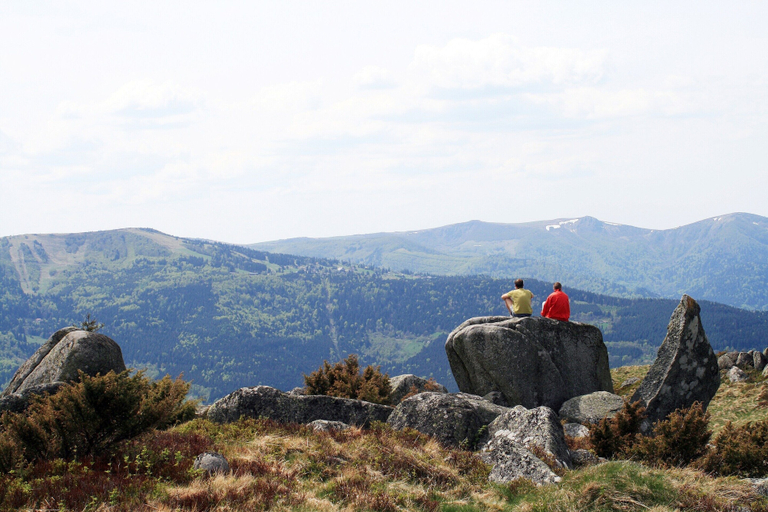 Others 2, Chalet in Dabo near Castle Ruins, Moselle