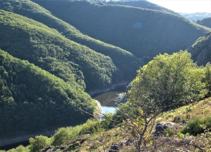 View from property 3, Peaceful Mountain Retreat, Cantal