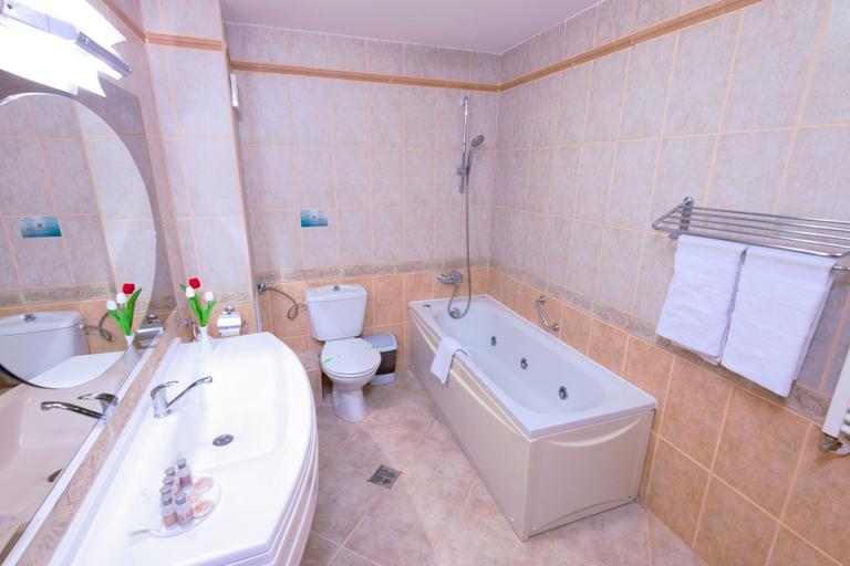 Bathroom, Hotel Piatra Mare, Brasov