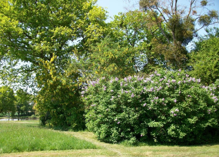 View from property 2, Holiday Home in Angers With Private Garden, Mayenne