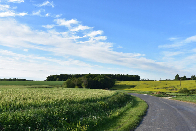 View from property 4, Weekend Escape in Saint-maurice, Loiret