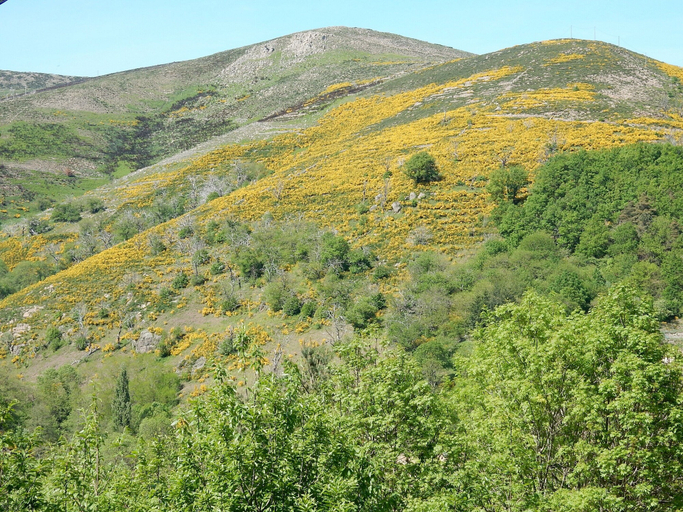 View from property 2, Escape in Saint-julien-du-gua, Ardèche