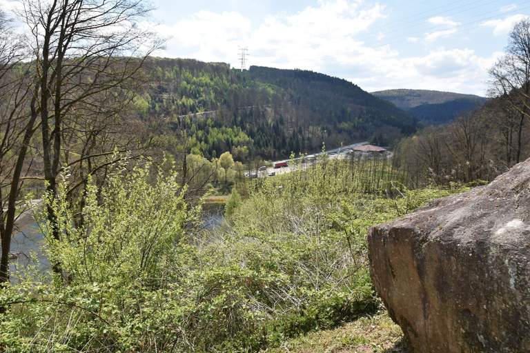 View from property 2, Peaceful Getaway in Nature, Moselle