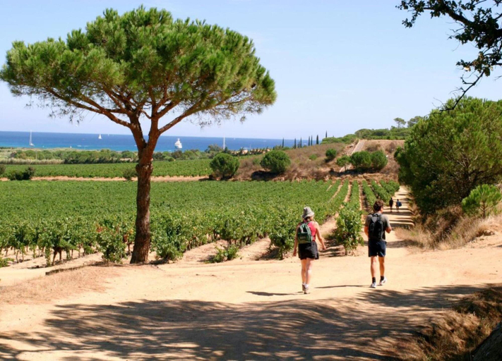 View from property 2, Holiday Home in Var Near Beaches & Pool, Var