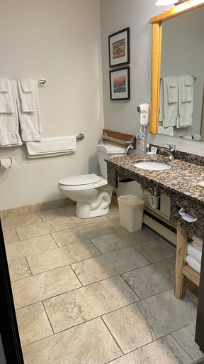 Bathroom 4, Antler Lodge - Gardiner MT, Park