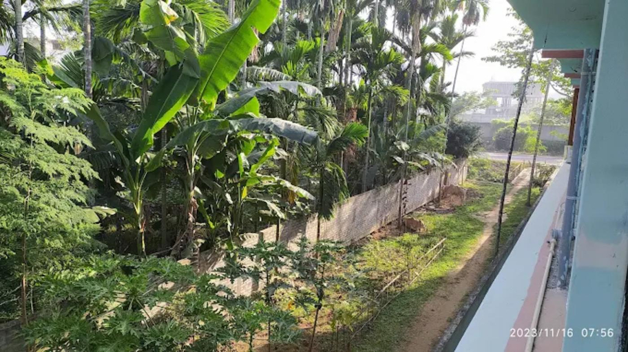 Others 4, DR Homestay Pat Gaon Assam, Kamrup