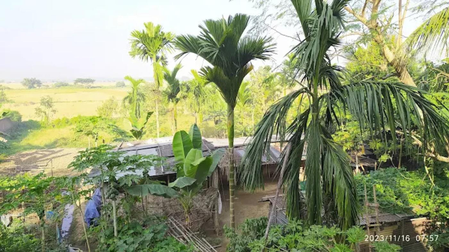Others 3, DR Homestay Pat Gaon Assam, Kamrup