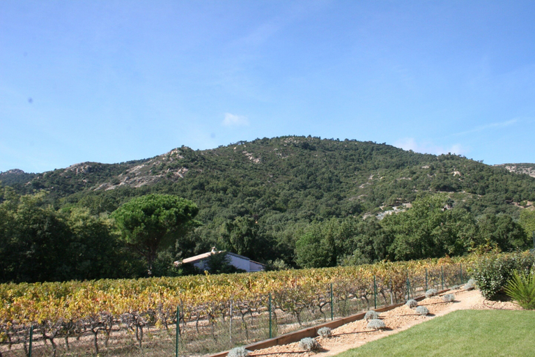 Others 5, Quaint Holiday Home in Le Plan-de-la-tour With Pool, Var