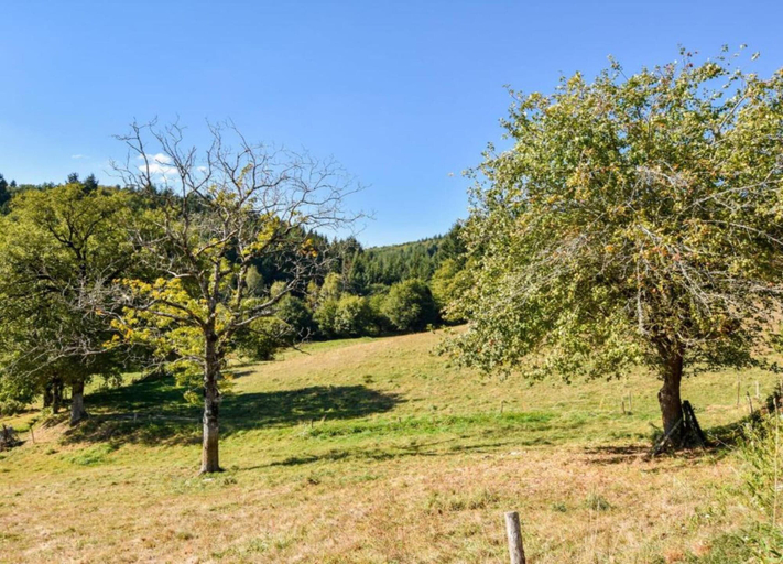 View from property 4, Calvinet Countryside Escape, Cantal