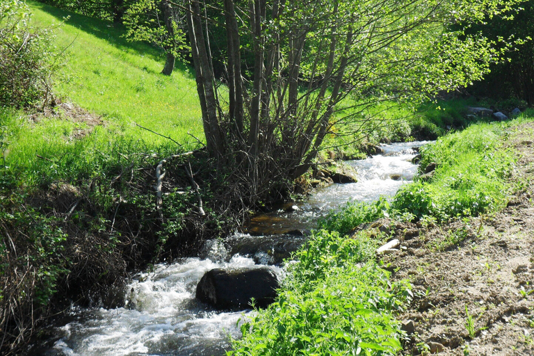 View from property 2, Hideaway in Villeneuve-d'allier, Haute-Loire