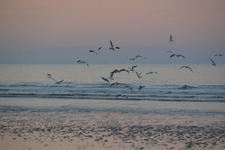 View from property 4, Cozy Normandy Escape, Calvados
