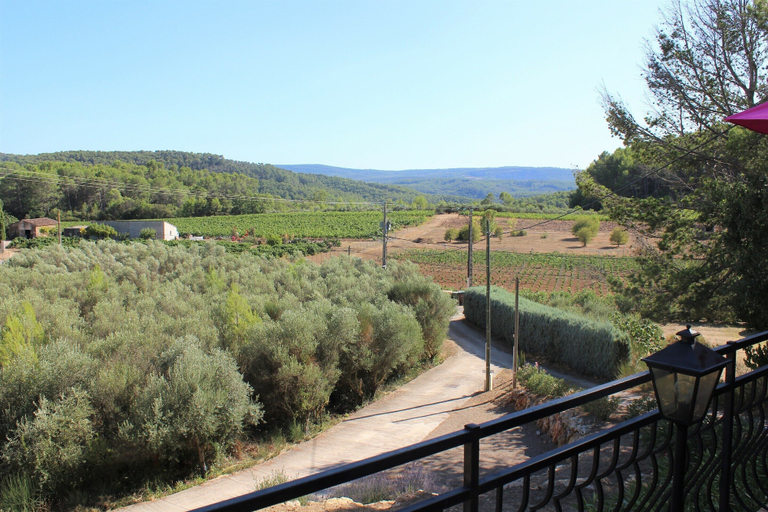 Others 2, Villa in Provence With Pool and Vineyard Views, Var