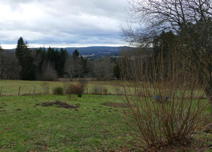 View from property 3, Peaceful Getaway in Teilhet, Puy-de-Dôme