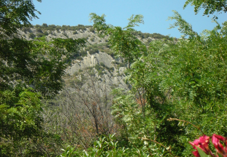 View from property 5, Spacious Villa With Pool, Vaucluse